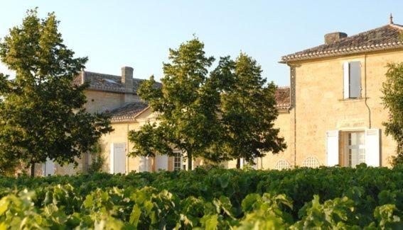 Chateau Belles Graves Bed and Breakfast Pomérols Zewnętrze zdjęcie