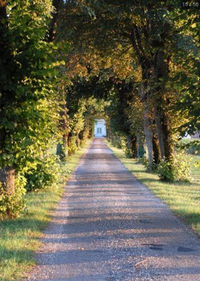 Chateau Belles Graves Bed and Breakfast Pomérols Zewnętrze zdjęcie